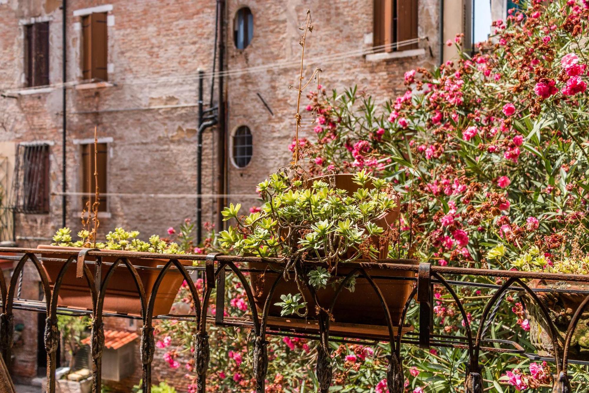 Apartamento Doge's Mirror & Stair @frari Venecia